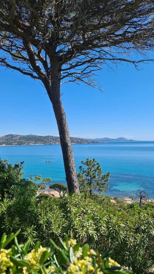 Ferienwohnung Mi Casita Sainte-Maxime Exterior foto